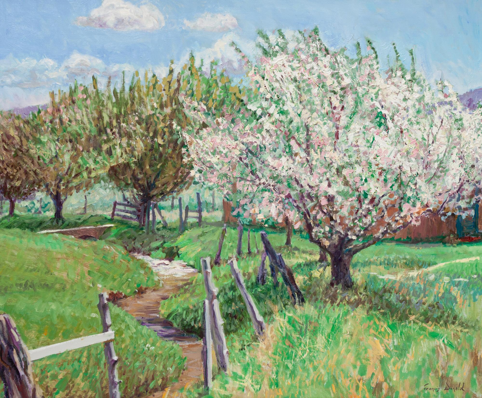 Taos Apple Blossoms