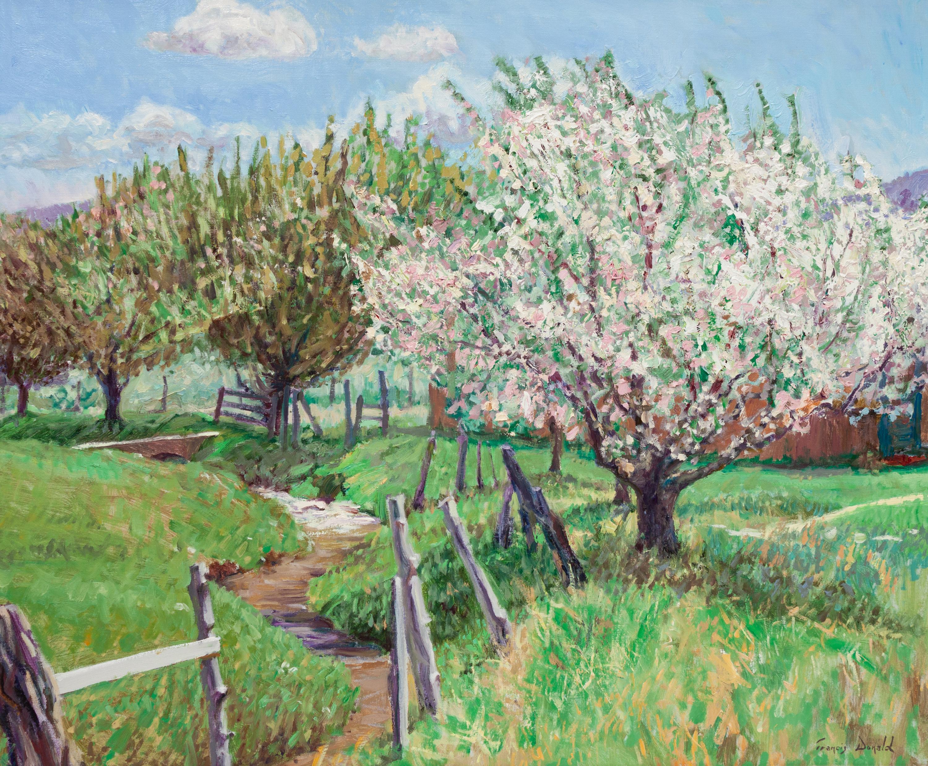 Taos Apple Blossoms