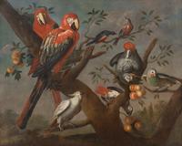 Parrots and Other Birds Perched on a Tree , 1709