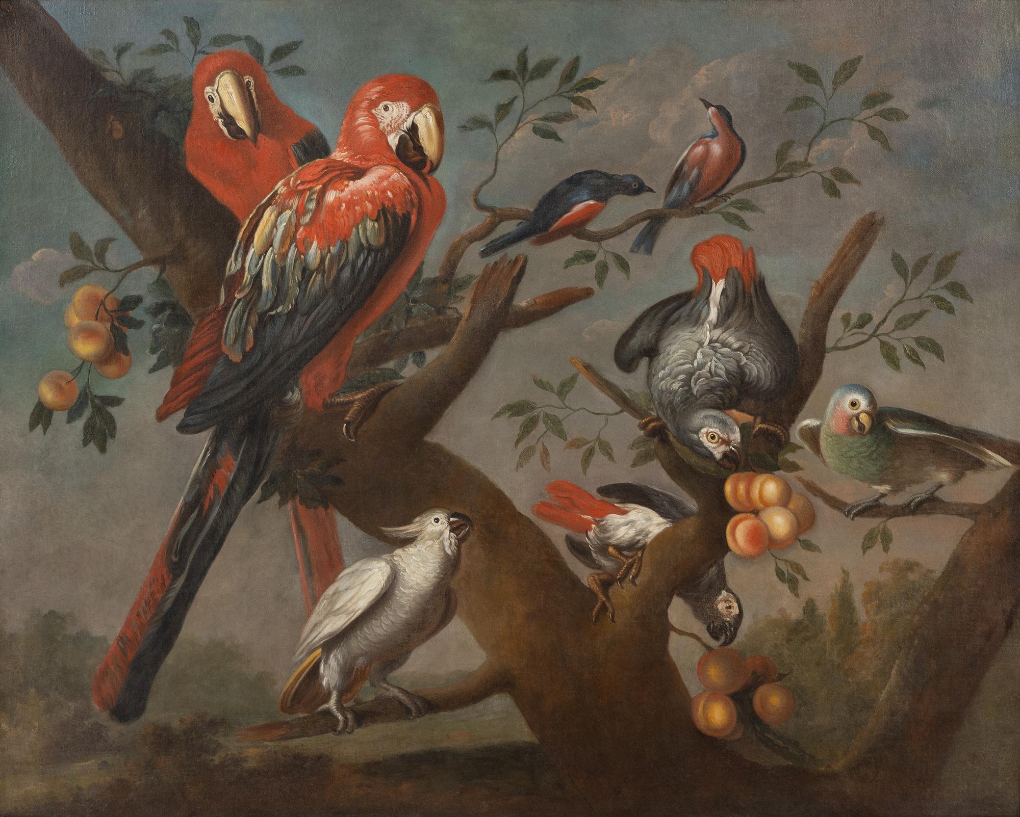 Parrots and Other Birds Perched on a Tree , 1709