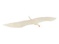 A Kinetic Painted Gull Together with a Quilt