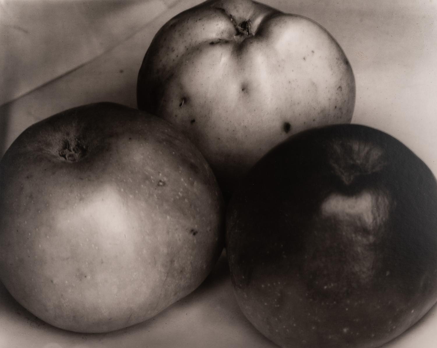 A group of fourteen photographs (from Twenty-Five Photographs printed by George Tice with labels signed by George Tice and Joanna Steichen)