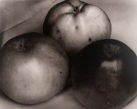 A group of fourteen photographs (from Twenty-Five Photographs printed by George Tice with labels signed by George Tice and Joanna Steichen)