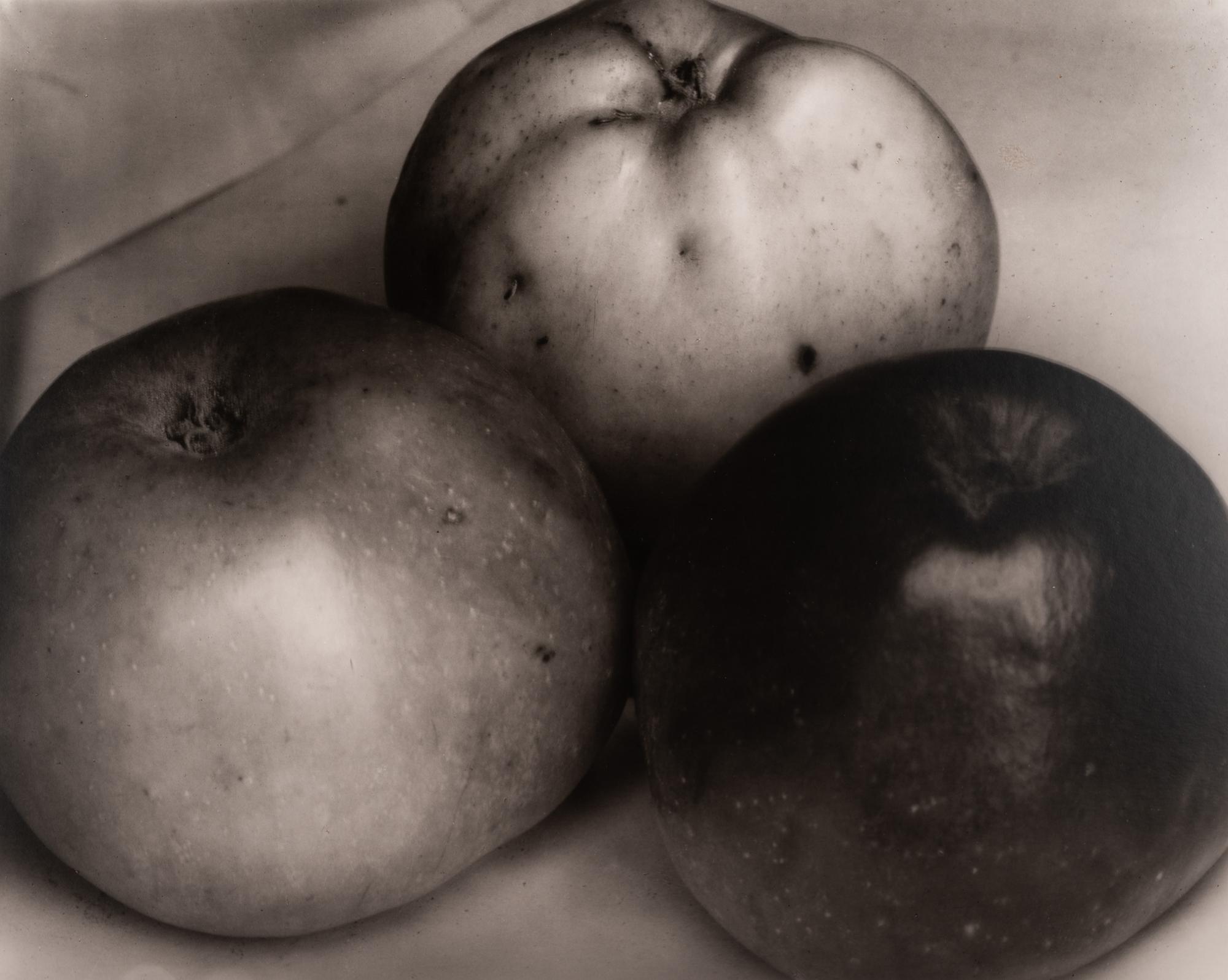A group of fourteen photographs (from Twenty-Five Photographs printed by George Tice with labels signed by George Tice and Joanna Steichen)