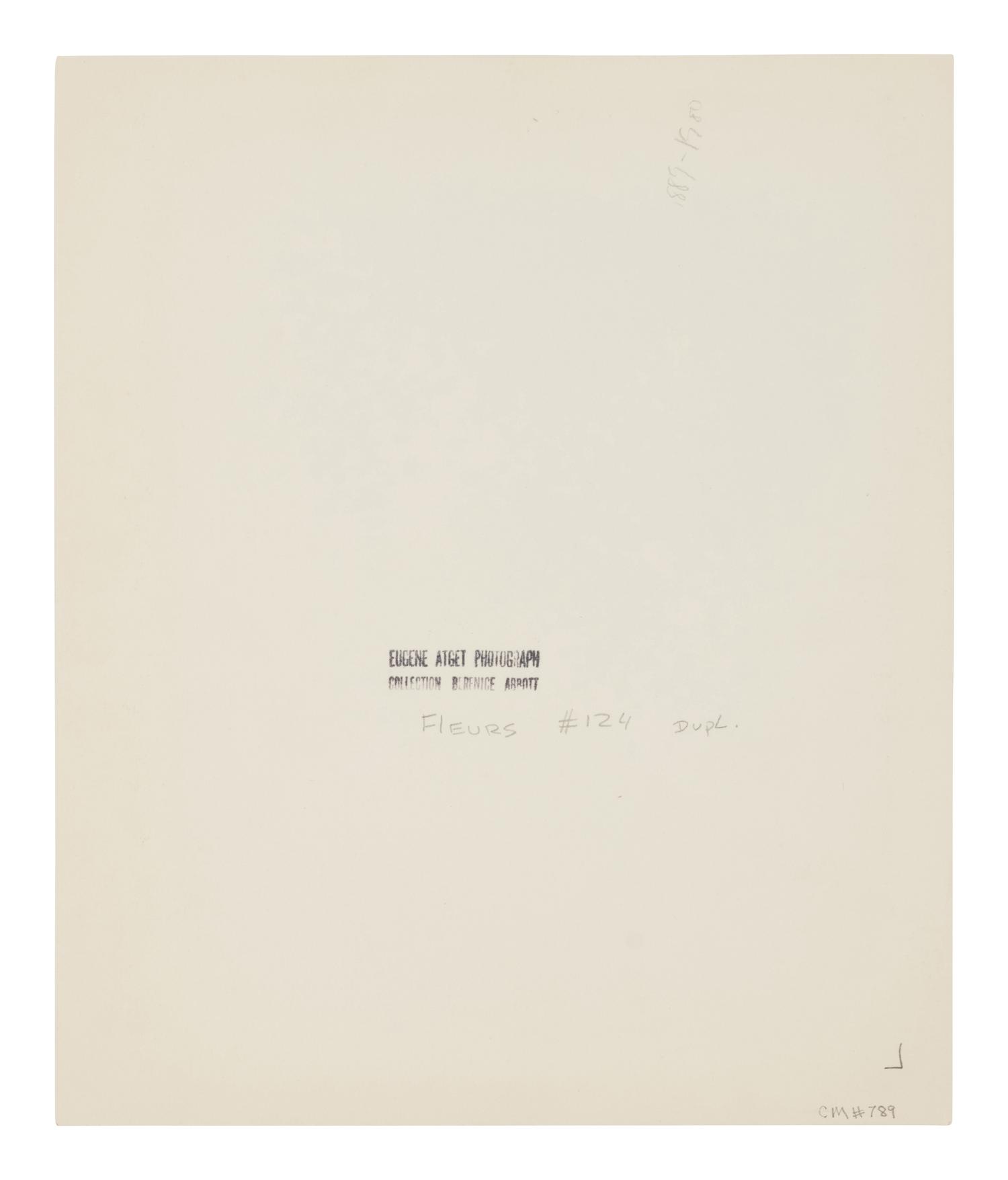 A group of four photographs ( Á la Coquille d'Or, rue de la Sourdière, 4e, 1908; Pavilion du Hanovre, boulevard des Capucines 33 , 1913; Fête du Trône , 1914; Fleurs [Boulevard Saint Michel] , 1926-1927)