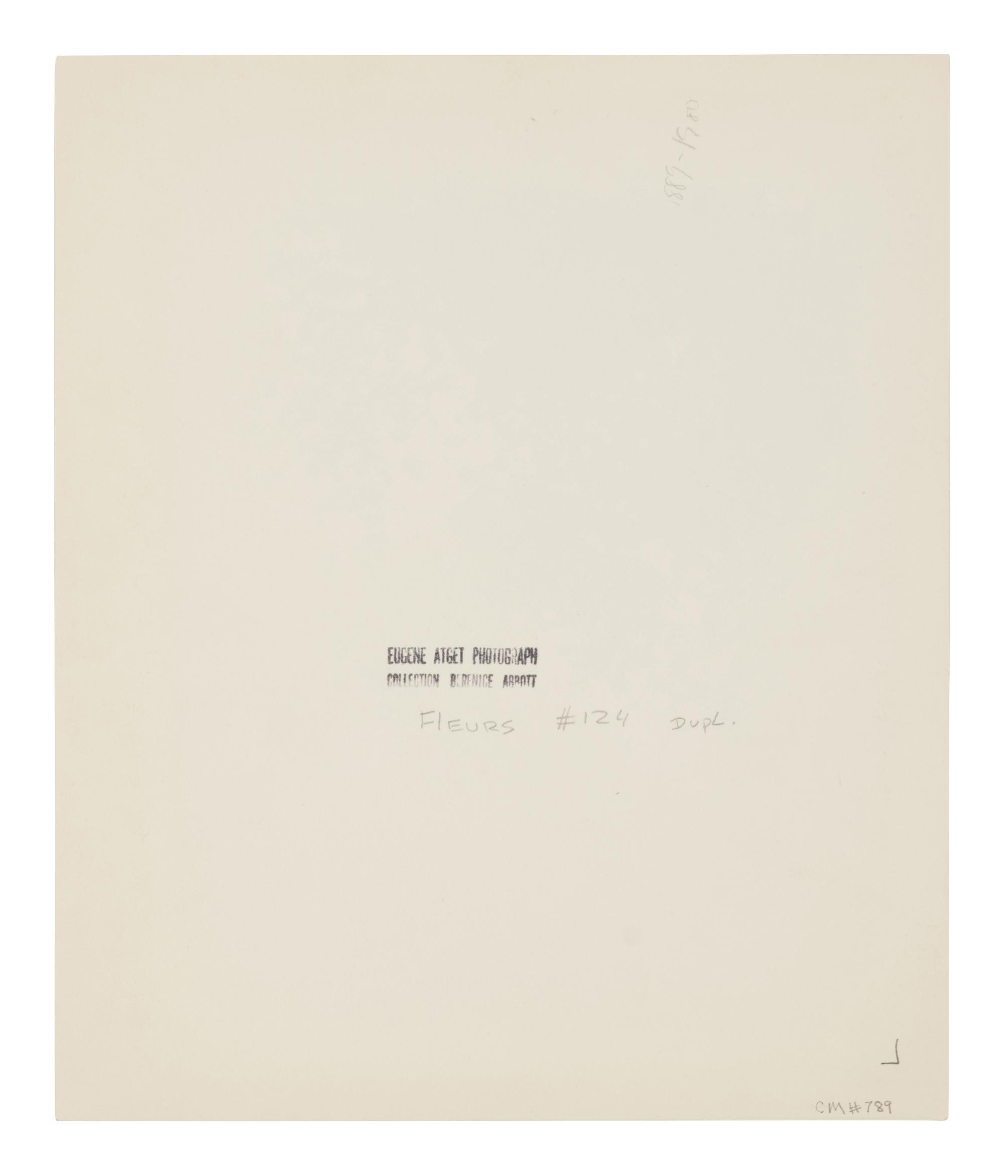 A group of four photographs ( Á la Coquille d'Or, rue de la Sourdière, 4e, 1908; Pavilion du Hanovre, boulevard des Capucines 33 , 1913; Fête du Trône , 1914; Fleurs [Boulevard Saint Michel] , 1926-1927)
