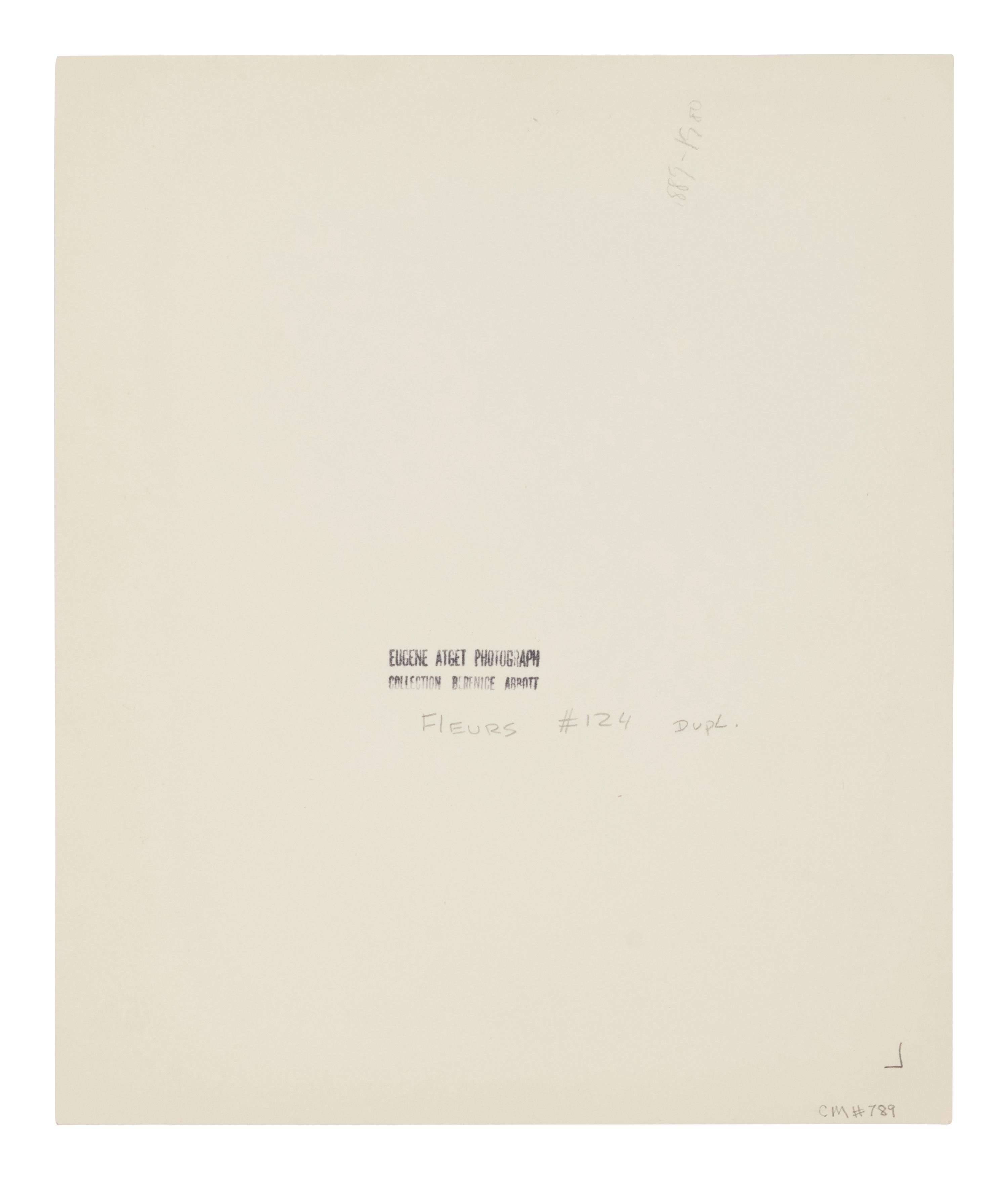 A group of four photographs ( Á la Coquille d'Or, rue de la Sourdière, 4e, 1908; Pavilion du Hanovre, boulevard des Capucines 33 , 1913; Fête du Trône , 1914; Fleurs [Boulevard Saint Michel] , 1926-1927)