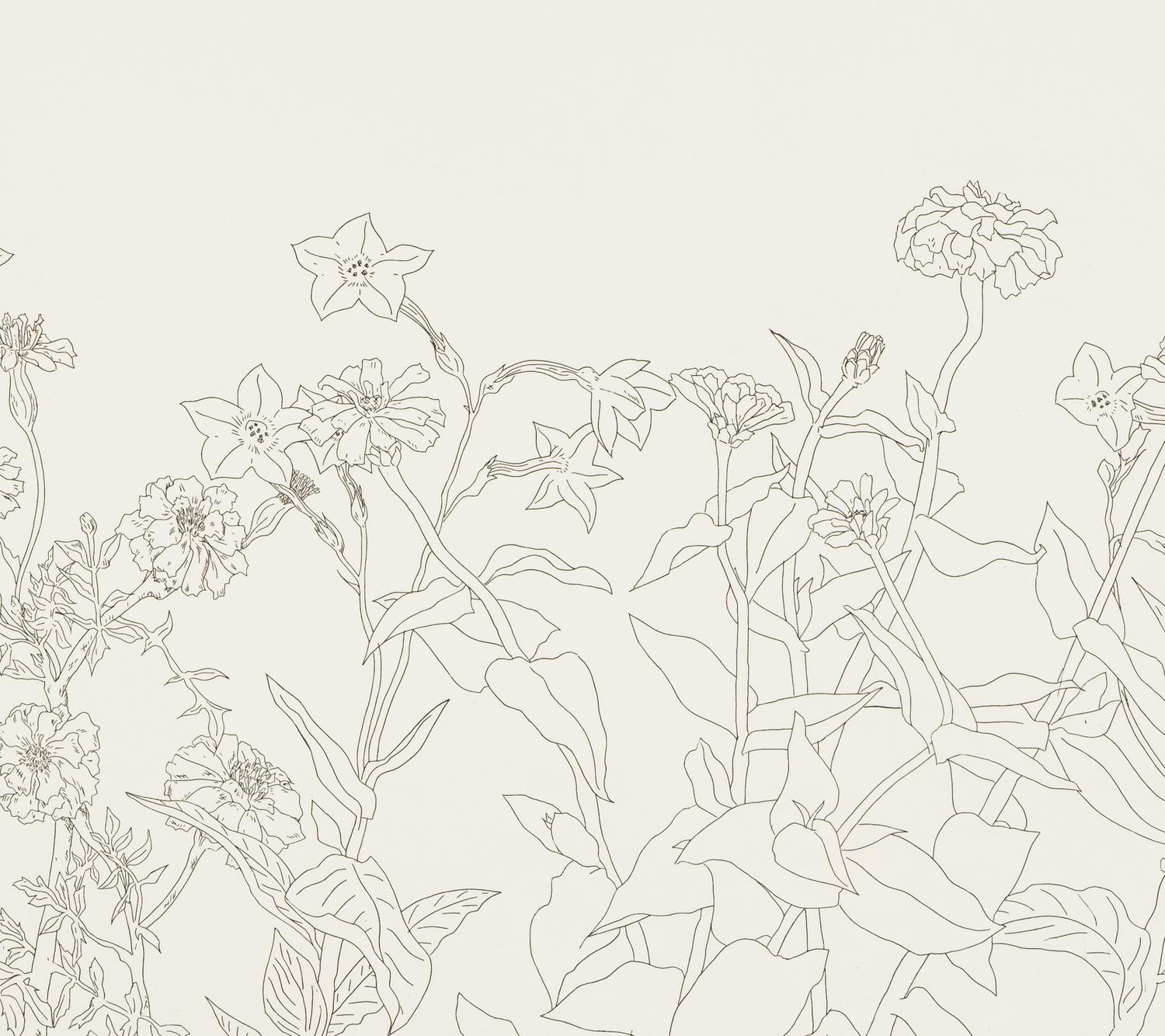 Untitled from Flowers Suite , 1979