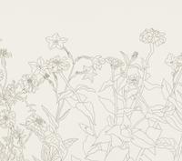 Untitled from Flowers Suite , 1979