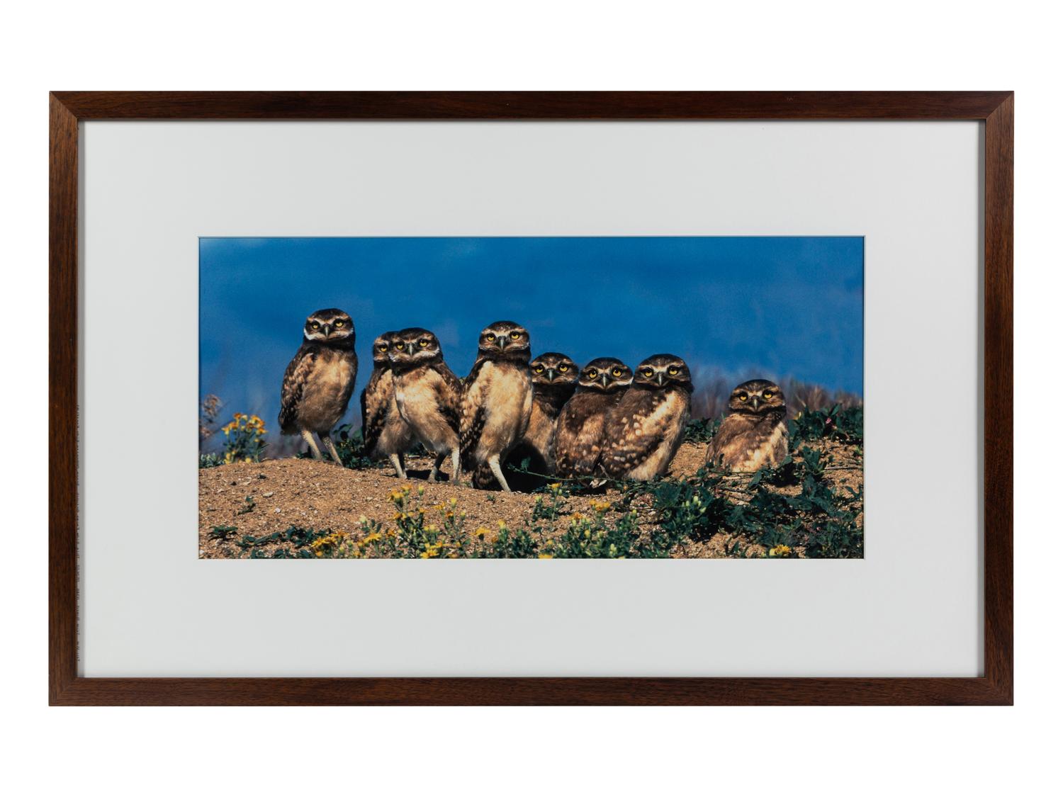 Prairie Vision: Images from a Sea of Grass (2002) Twenty Color Photographs
