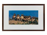 Prairie Vision: Images from a Sea of Grass (2002) Twenty Color Photographs
