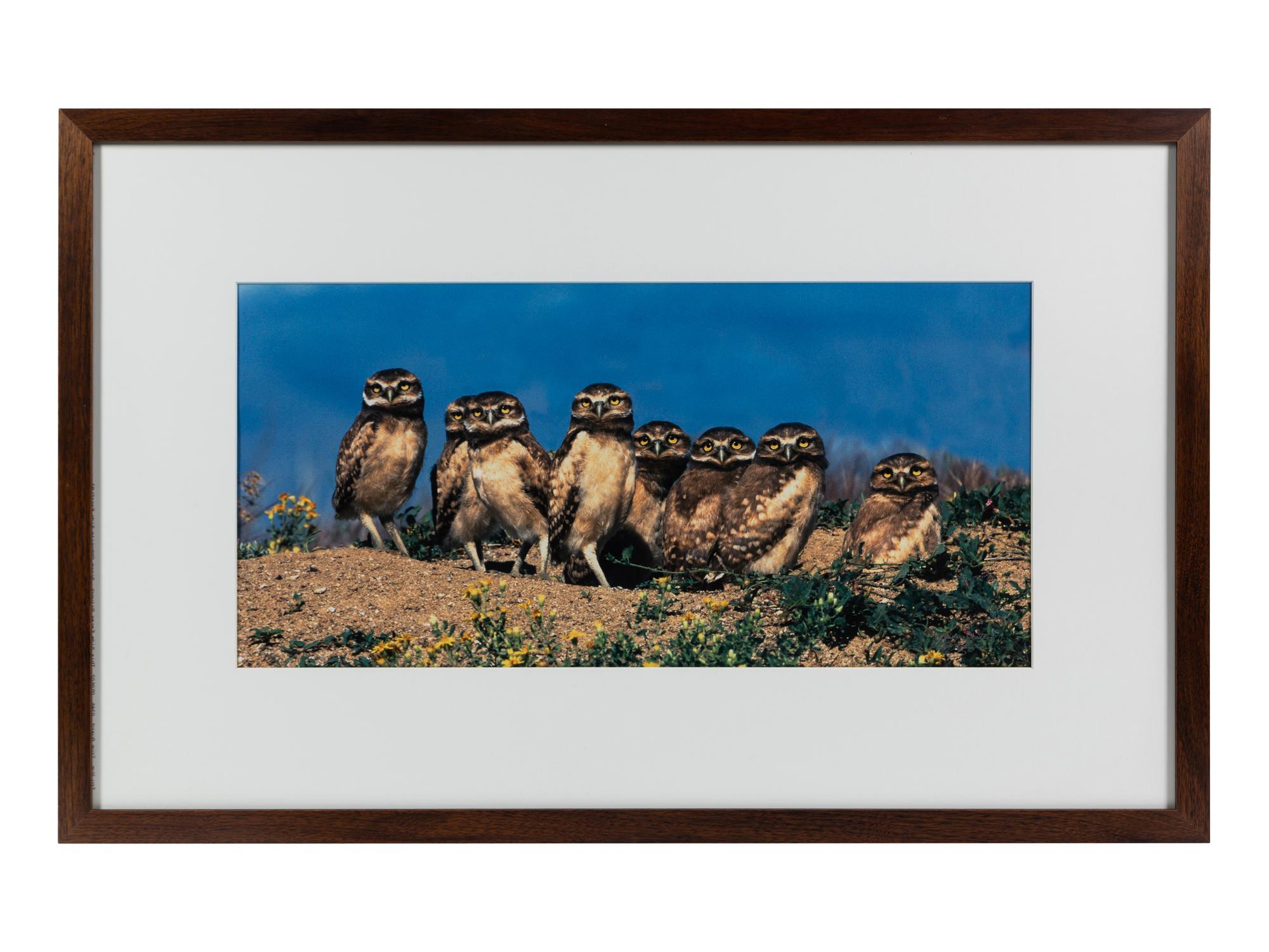 Prairie Vision: Images from a Sea of Grass (2002) Twenty Color Photographs