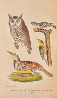 [Natural History] Wilson, Alexander, and Charles Lucian Bonaparte, and Sir William Jardine. American Ornithology; or, The Natural History of the Birds of the United States