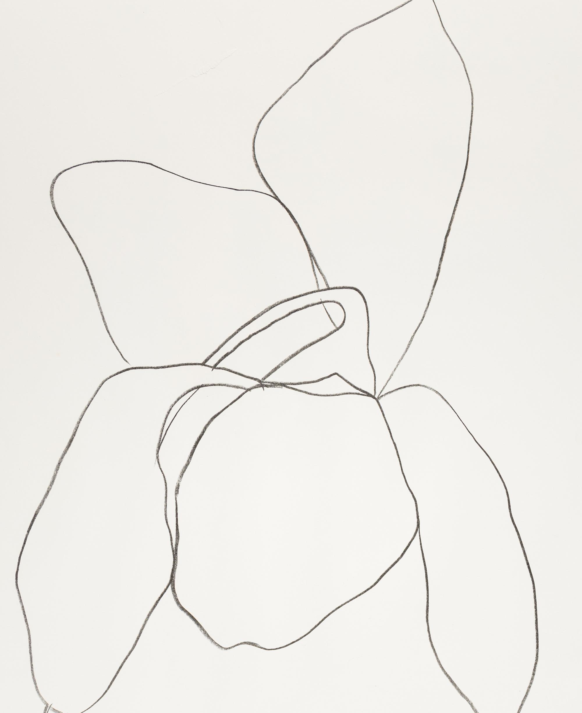 Cyclamen I ( from Suite of Plant Lithographs ), 1964-1965 (published 1966)