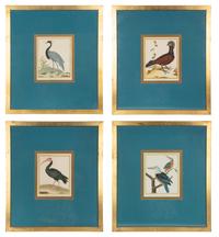 Four Bird Prints after Francoise Martinet's Histoire Naturelle Des Oiseaux — 20TH CENTURY