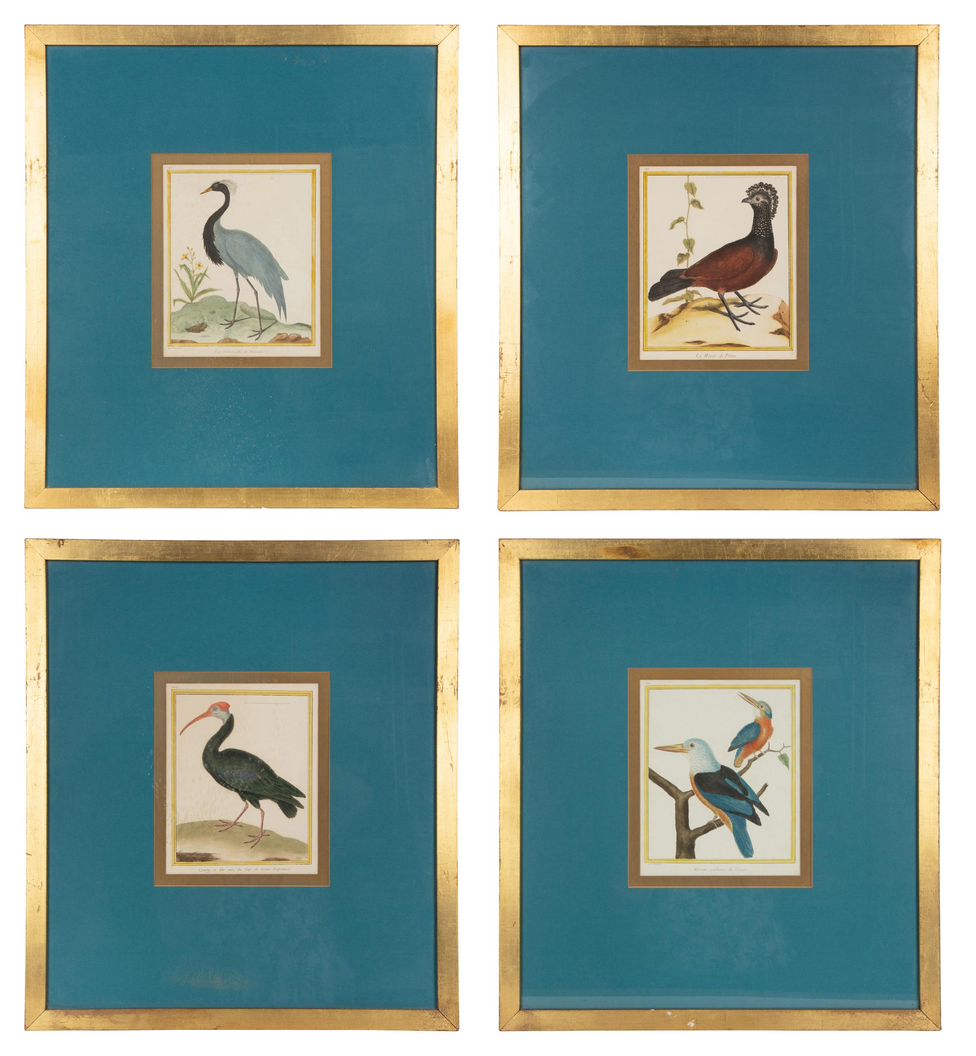 Four Bird Prints after Francoise Martinet's Histoire Naturelle Des Oiseaux — 20TH CENTURY