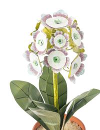 A Group of Twelve Tôle Models of Flowering Plants