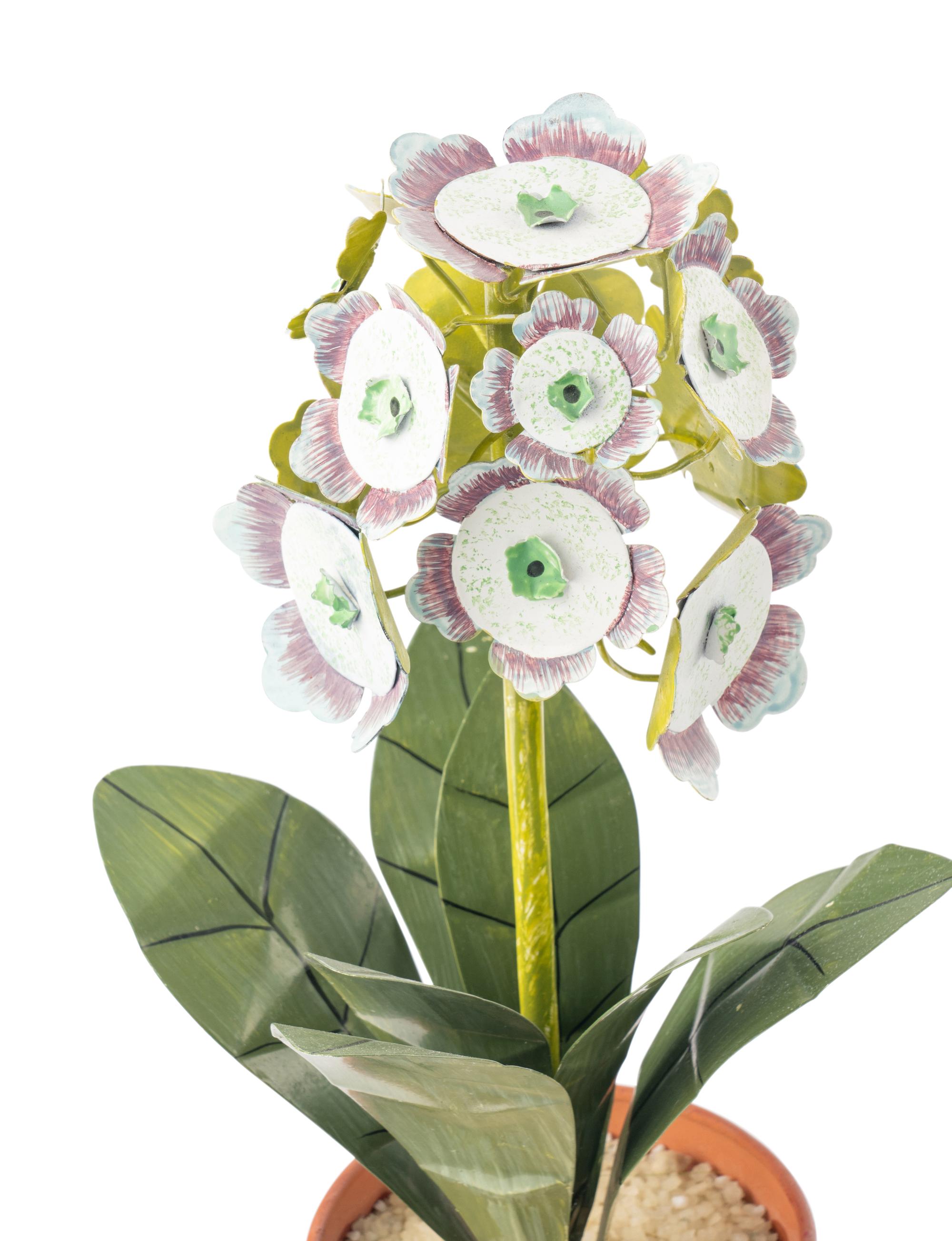 A Group of Twelve Tôle Models of Flowering Plants