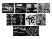 Twenty Photographs 1970-1977 (complete portfolio with original linen case)