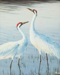 Crane Dancers , 1993