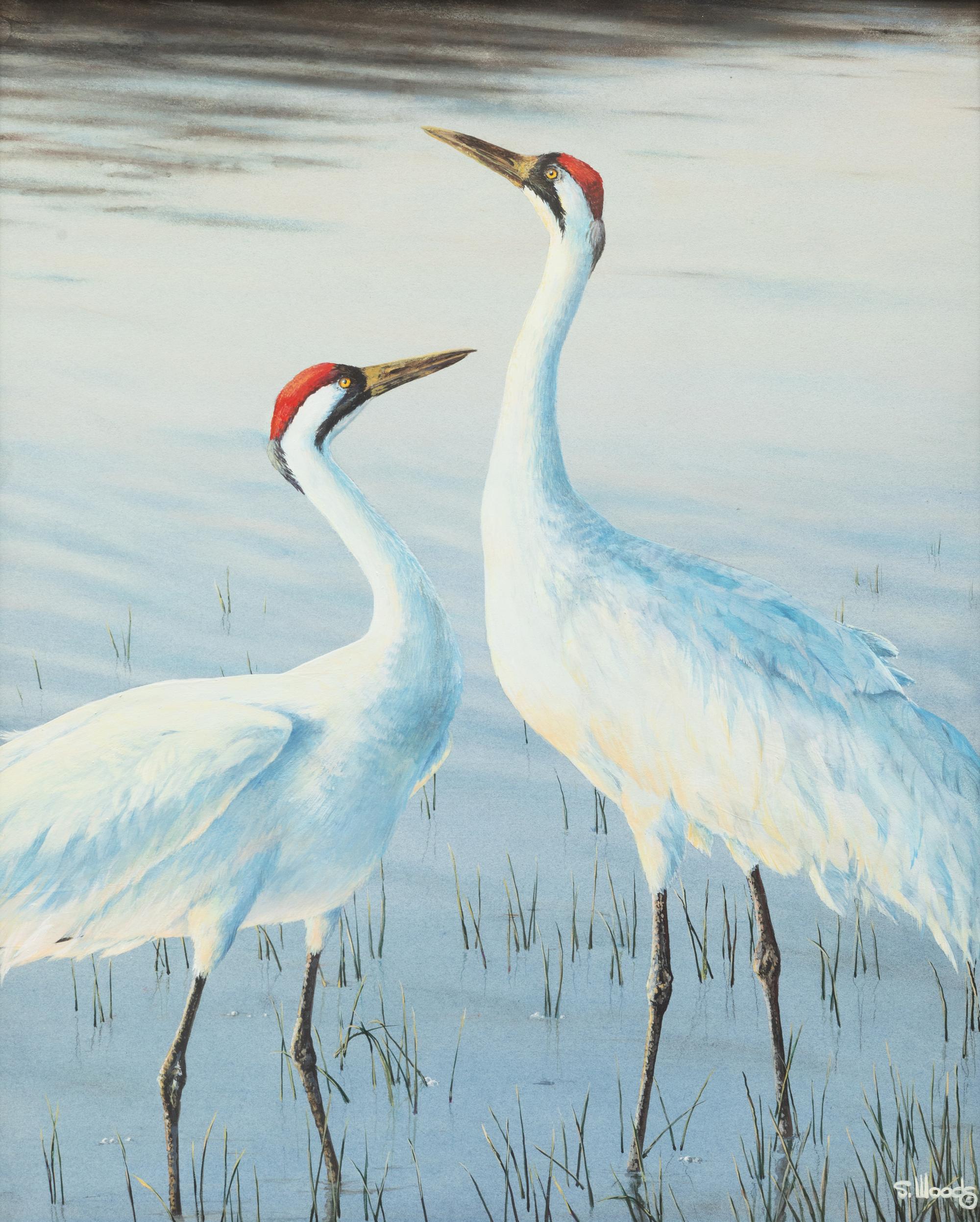 Crane Dancers , 1993