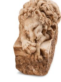 A Pair of Composition Models of Lions