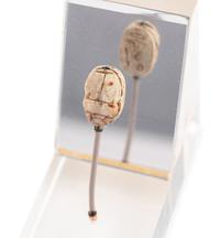 An Egyptian Steatite Scarab