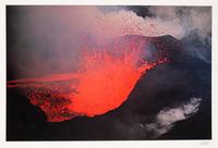 A group of ten photographs from the Creation Portfolio (one duplicate image)