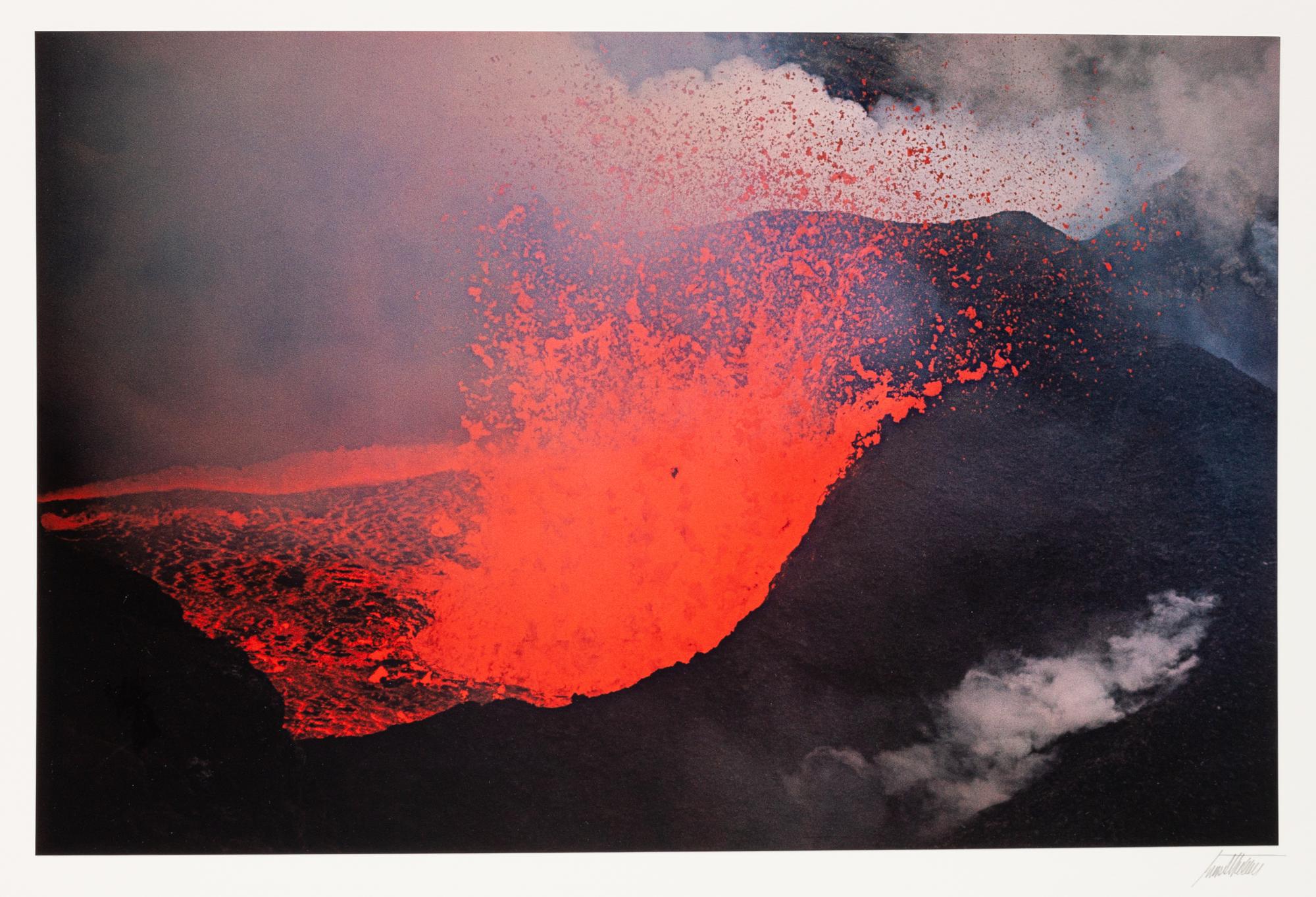 A group of ten photographs from the Creation Portfolio (one duplicate image)