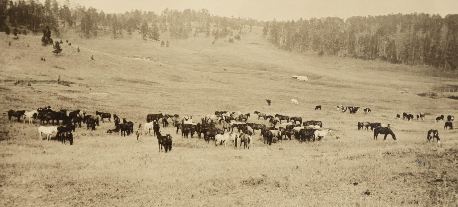 [Western Americana] Huffman, L.A. (1854-1931), photographer. A group of 4 collotypes with western subject matter.