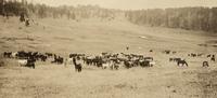 [Western Americana] Huffman, L.A. (1854-1931), photographer. A group of 4 collotypes with western subject matter.