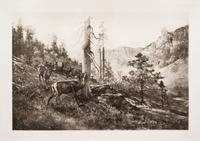 (MUIR, JOHN) Picturesque California. San Fran. and NY, (1888). 2 vols. Illustrated.
