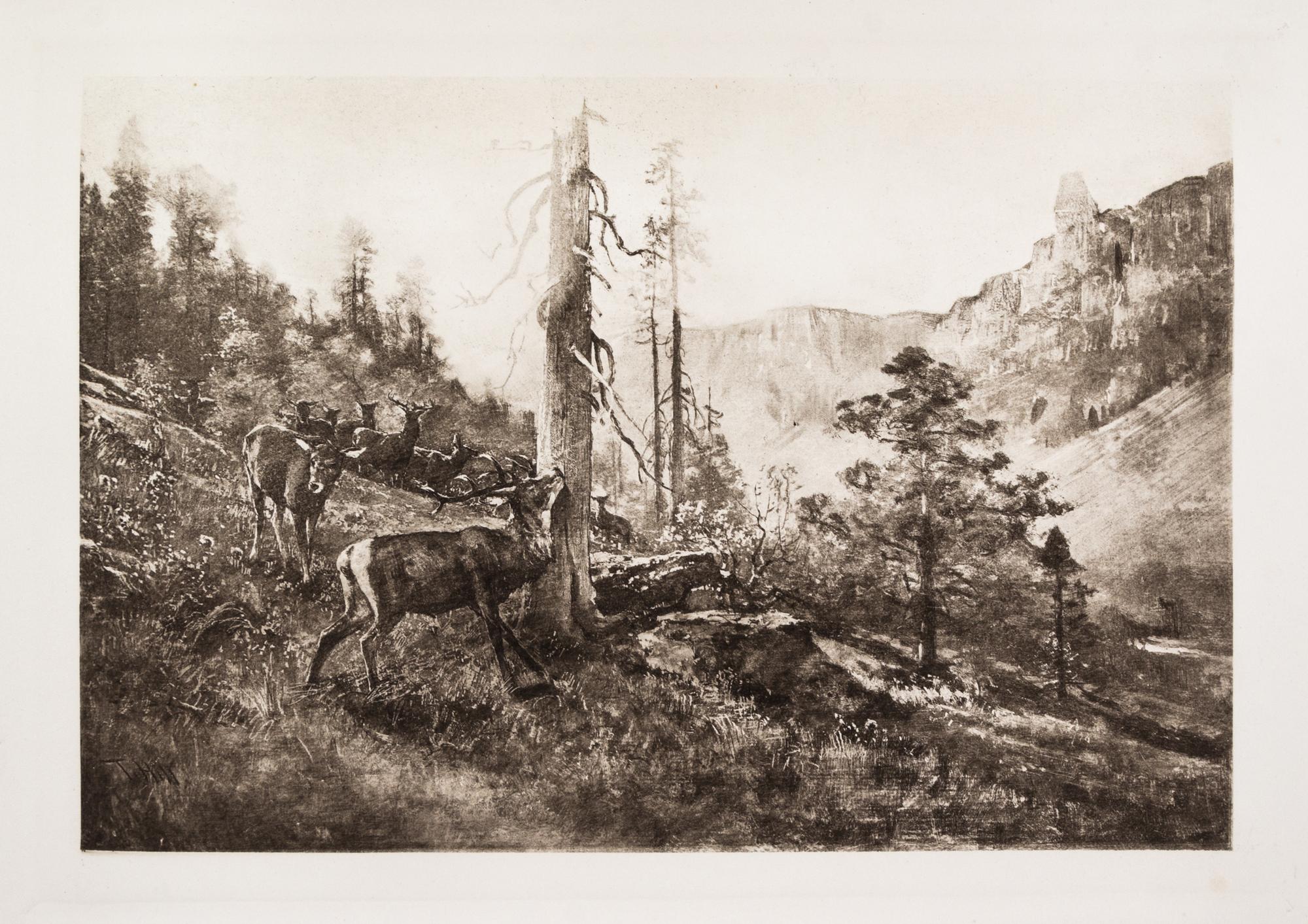 (MUIR, JOHN) Picturesque California. San Fran. and NY, (1888). 2 vols. Illustrated.
