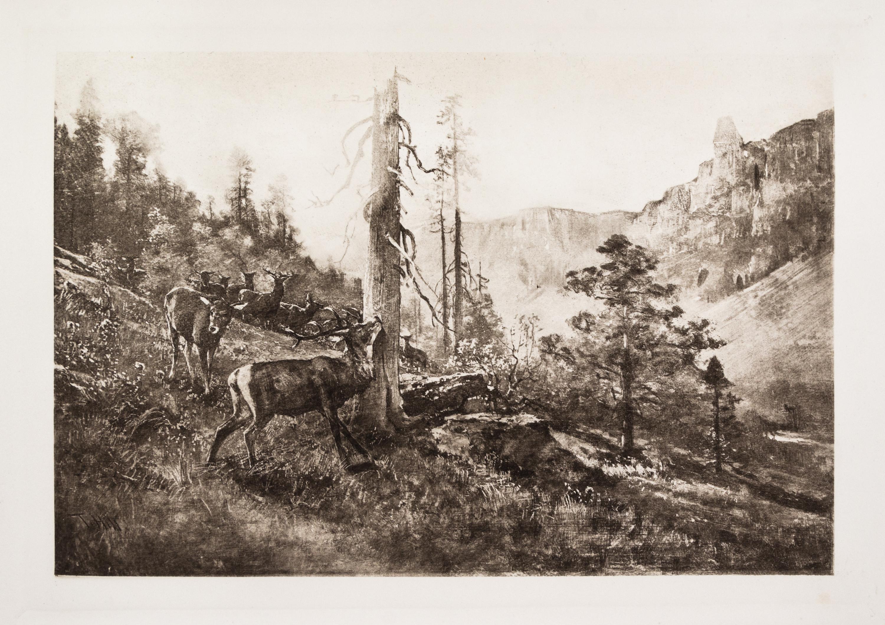 (MUIR, JOHN) Picturesque California. San Fran. and NY, (1888). 2 vols. Illustrated.