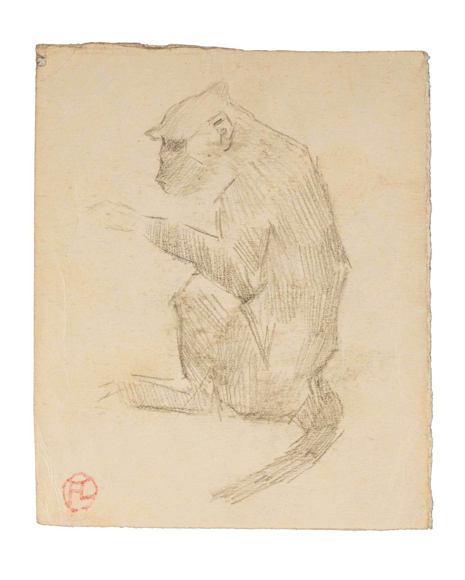 Untitled (Monkey)