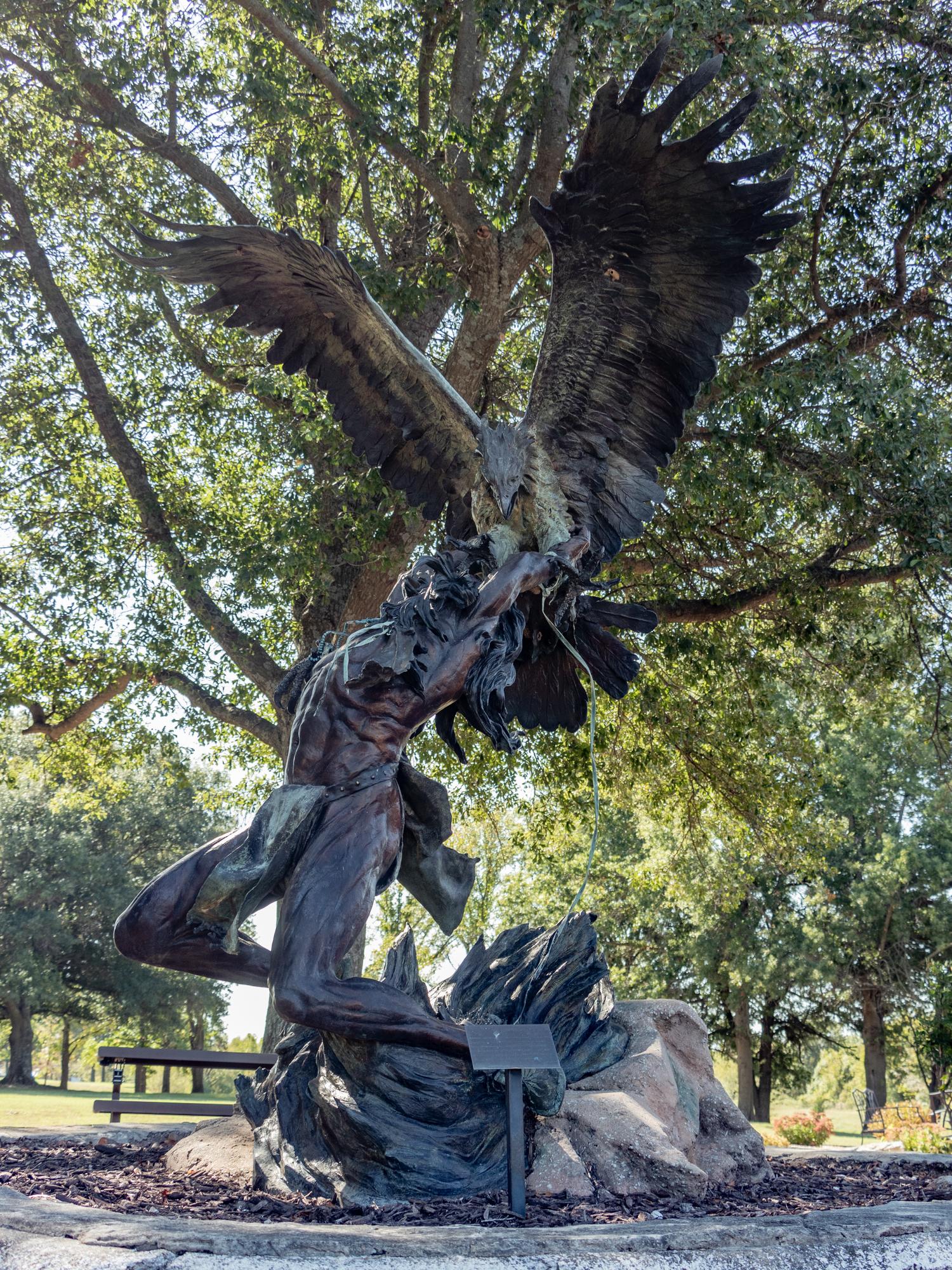 Eagle Catcher
