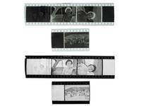 [HOLLYWOOD]. An archive of original negatives, proofs, and photographs of Jerry Lewis. [Ca 1934-1971].