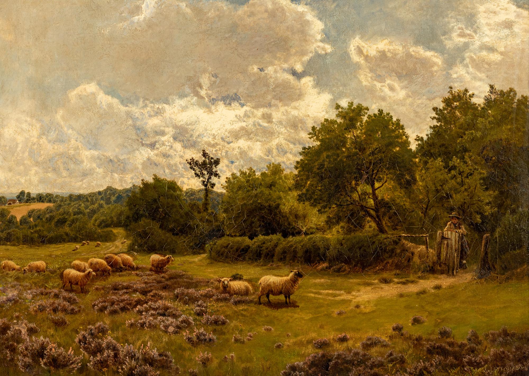 Watching the Flock