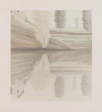Robert Kipniss, (American, b. 1931), Refelctions of a Pole Tree