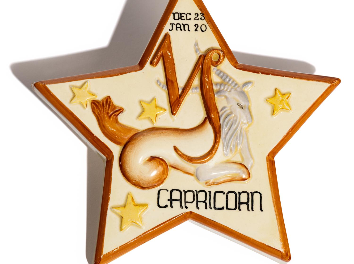 Capricorn 'Star Sign' wall plaque