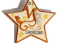 Capricorn 'Star Sign' wall plaque