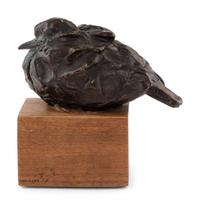 Sparrow