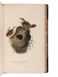 AUDUBON, John James (1785-1851). The Birds of America, from Drawings Made in the United States and their Territories. New York and Philadelphia: J.J. Audubon and J.B. Chevalier, [1839-] 1840-1844.