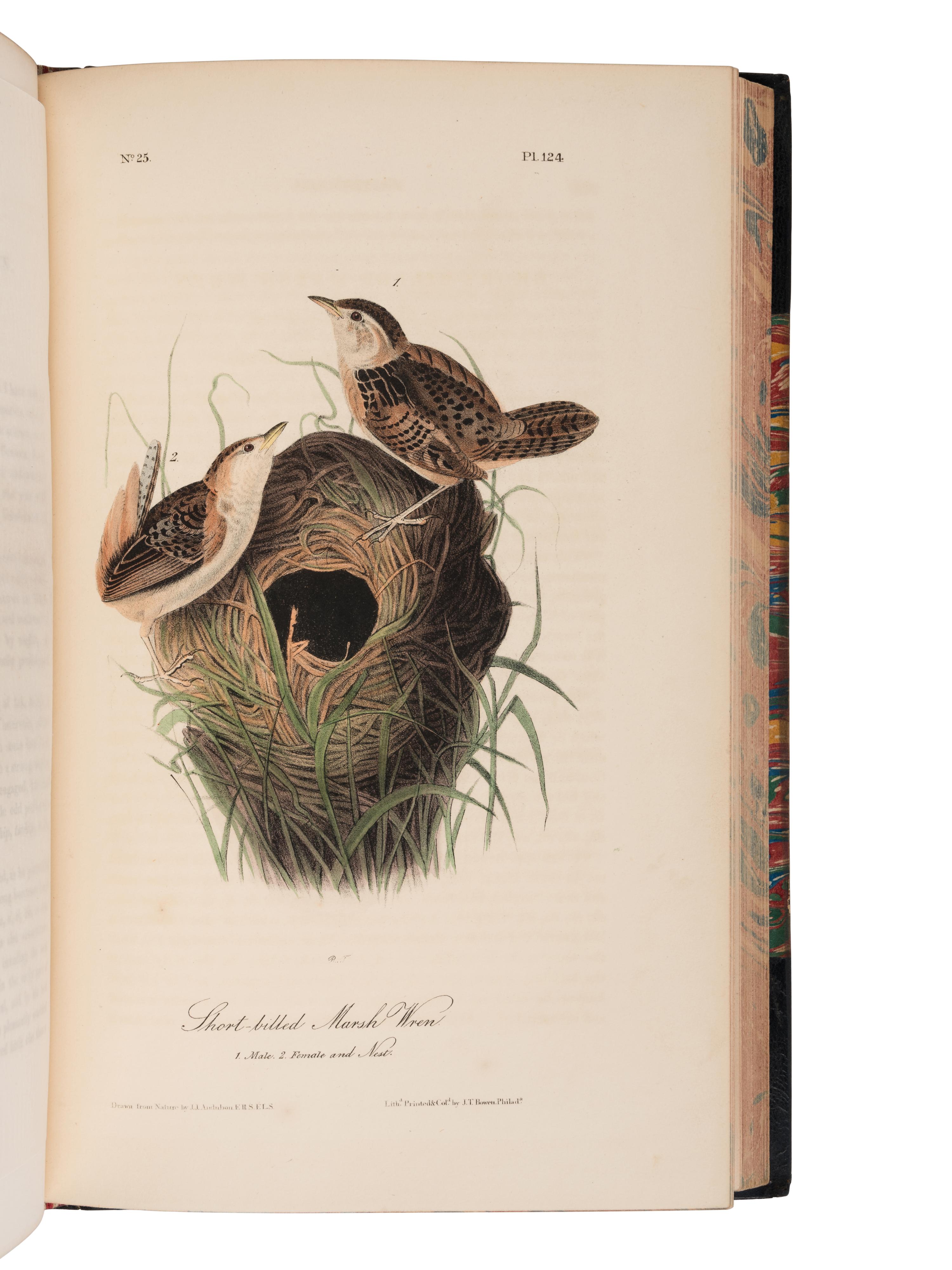 AUDUBON, John James (1785-1851). The Birds of America, from Drawings Made in the United States and their Territories. New York and Philadelphia: J.J. Audubon and J.B. Chevalier, [1839-] 1840-1844.