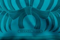 Hermès Printed Tiger City PM Bag, 2014