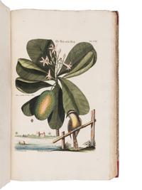 [NATURAL HISTORY]. SELIGMANN, Johann Michael (1720-1762). Verzameling van Uitlandsche en Zeldzaame Vogelen...in't Nedertuitsch vertaald... door M. Houttuyn . Amsterdam: Jan Christiaan Sepp, 1772-1781.