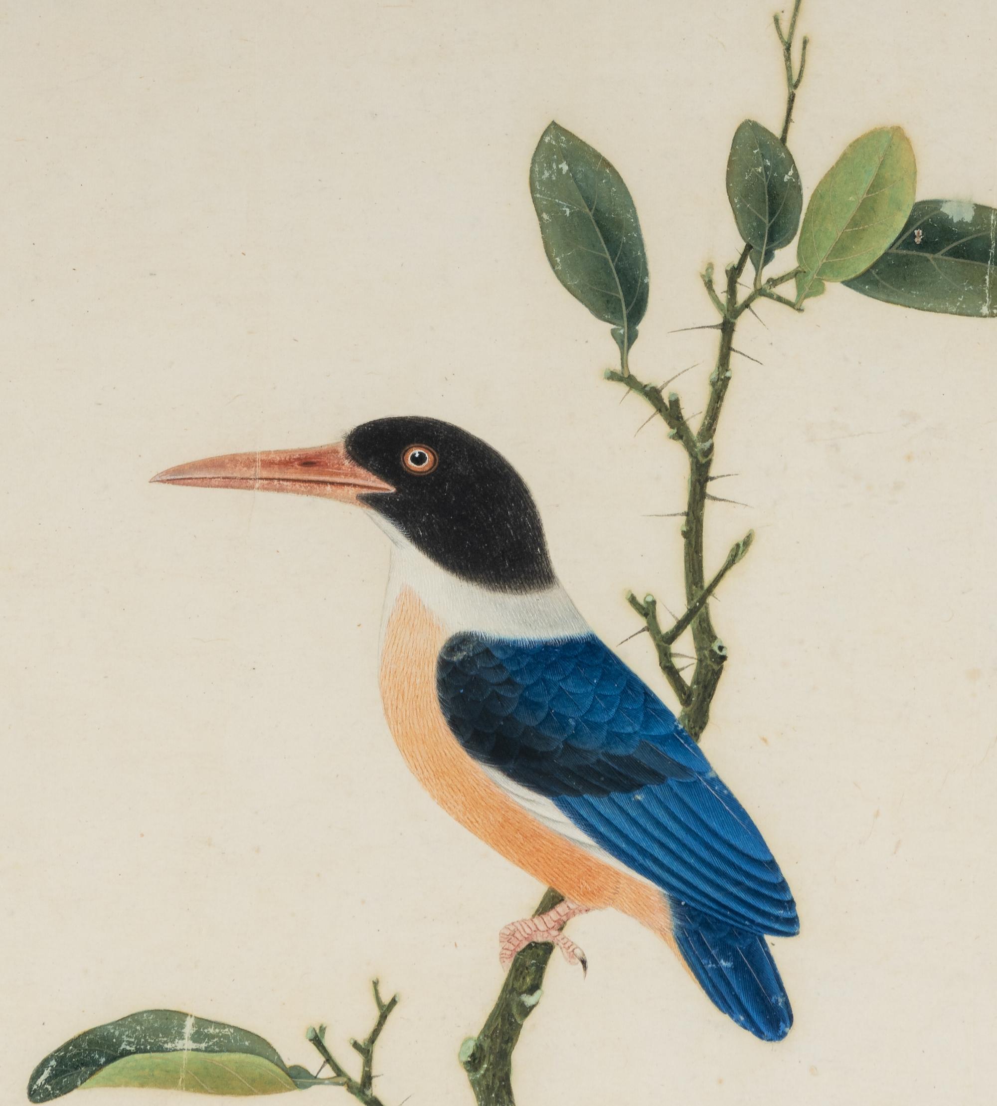 A Pair of Chinese Export Pith Paintings of Birds