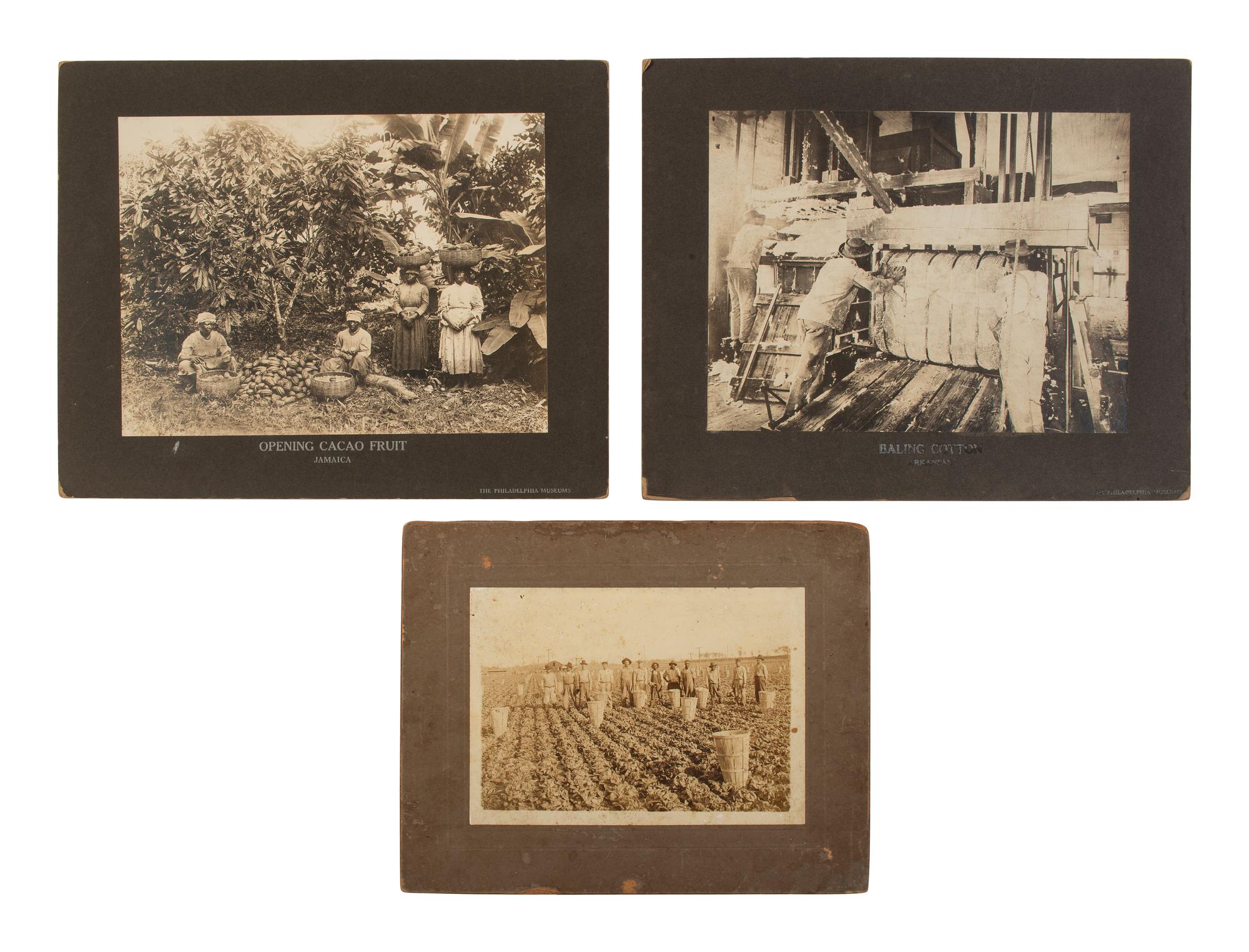 [EARLY PHOTOGRAPHY]. A large collection of assorted photographs of African American vernacular subjects.