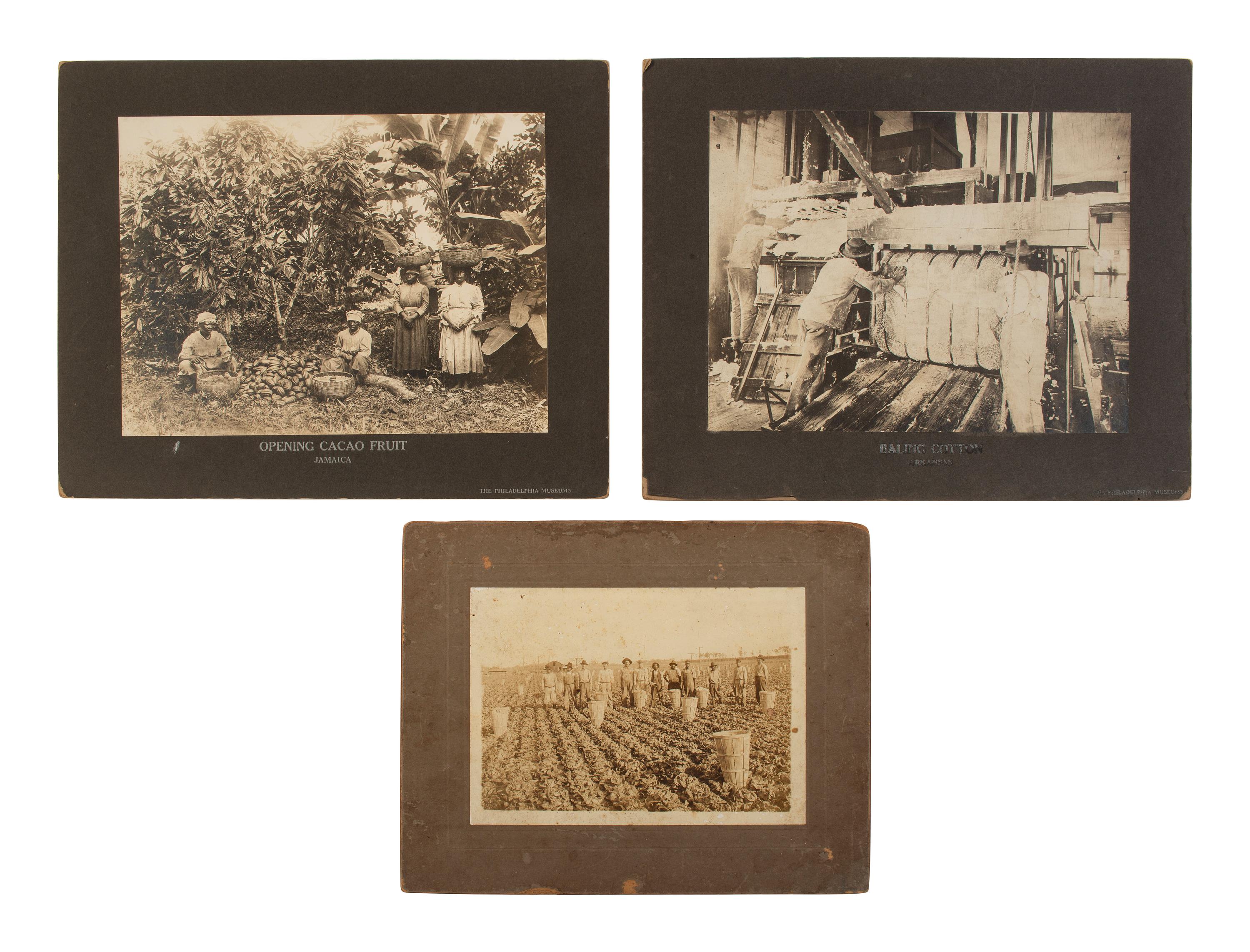[EARLY PHOTOGRAPHY]. A large collection of assorted photographs of African American vernacular subjects.