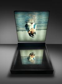 Coyote